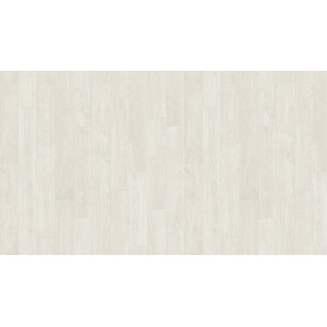 Линолеум Tarkett Gladiator Gloriosa 1